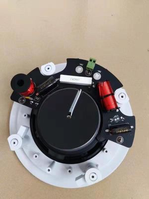 Sistema di altoparlante a 6 pollici del soffitto di PA di 2*30w Wifi con un altoparlante attivo ed un passivo