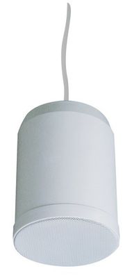 altoparlante d'attaccatura dell'interno dell'altoparlante del pendente di 10W 20W