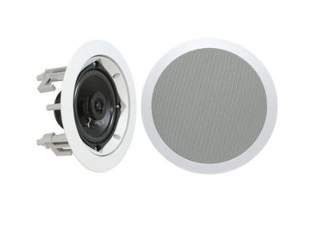 altoparlante dell'altoparlante 8&quot; altoparlante coassiale del soffitto (10W-20W-40W)
