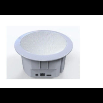 Il IP POE ha alimentato l'altoparlante del soffitto